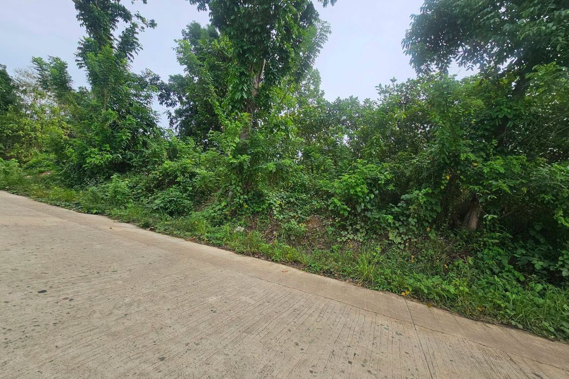 Land for Sale in Poblacion, Trinidad, Bohol – photo 8