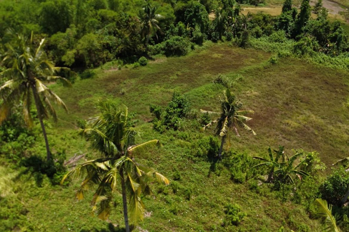Land for Sale in Poblacion, Trinidad, Bohol