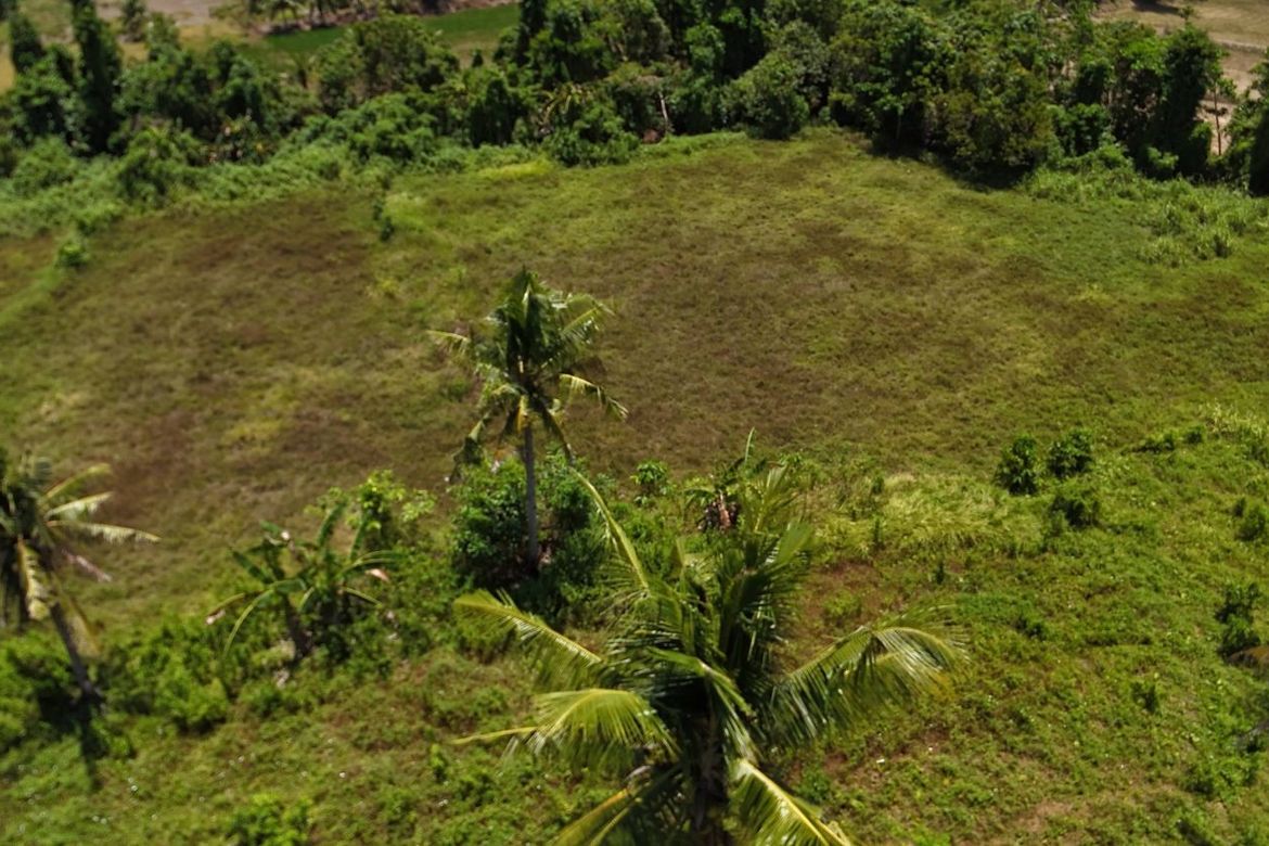 Land for Sale in Poblacion, Trinidad, Bohol – photo 2