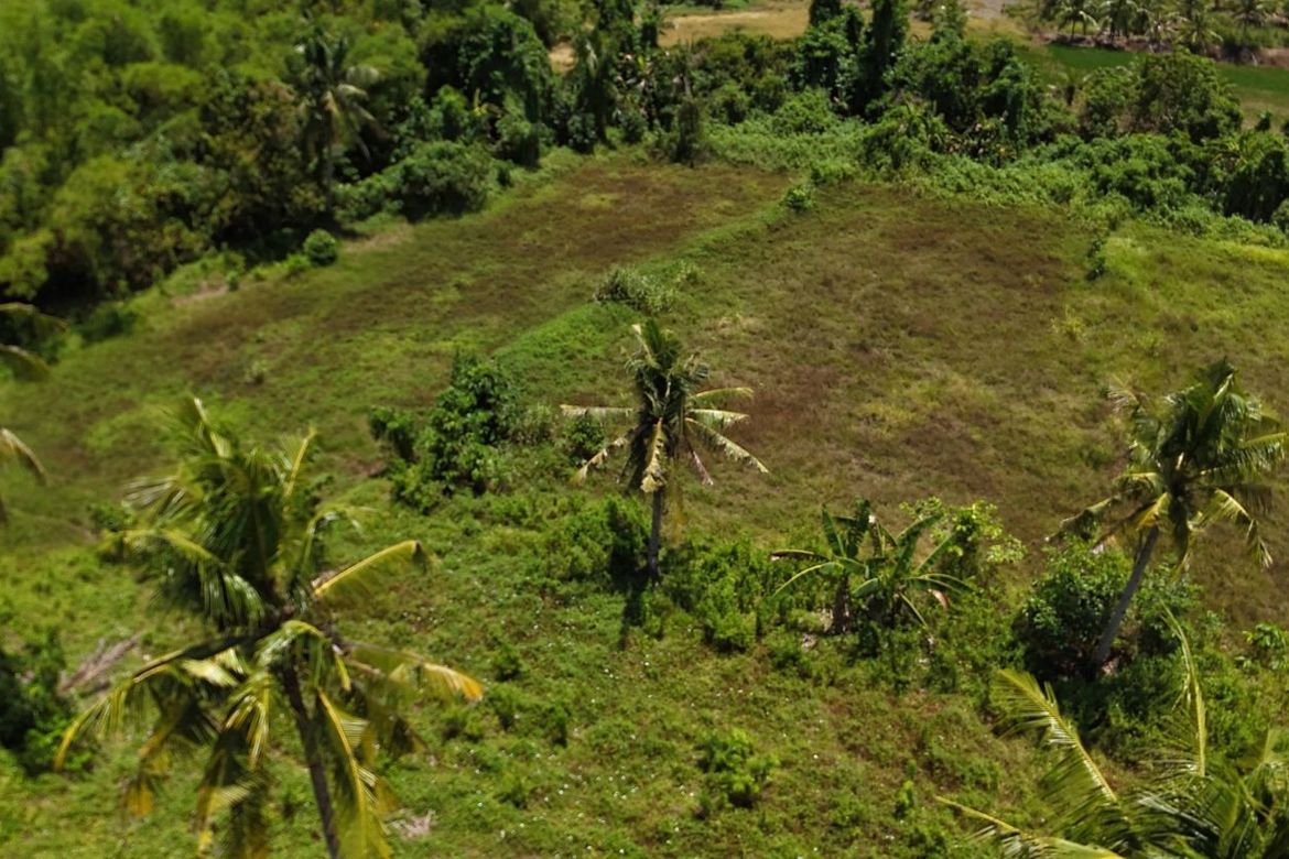 Land for Sale in Poblacion, Trinidad, Bohol – photo 8