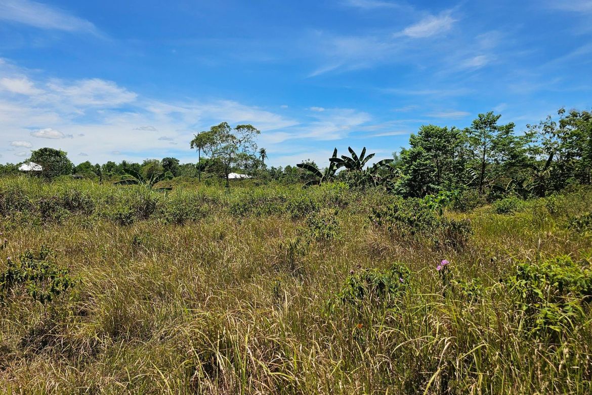 Land for Sale in Poblacion, Trinidad, Bohol