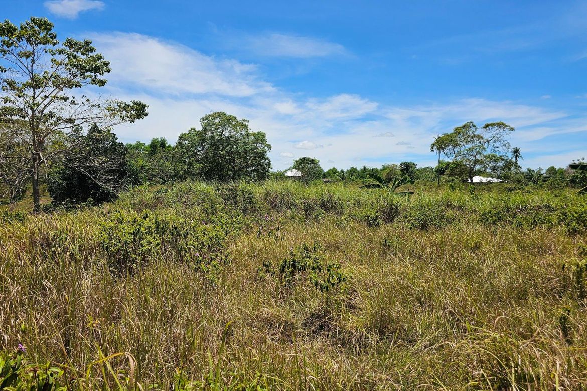 Land for Sale in Poblacion, Trinidad, Bohol – photo 3