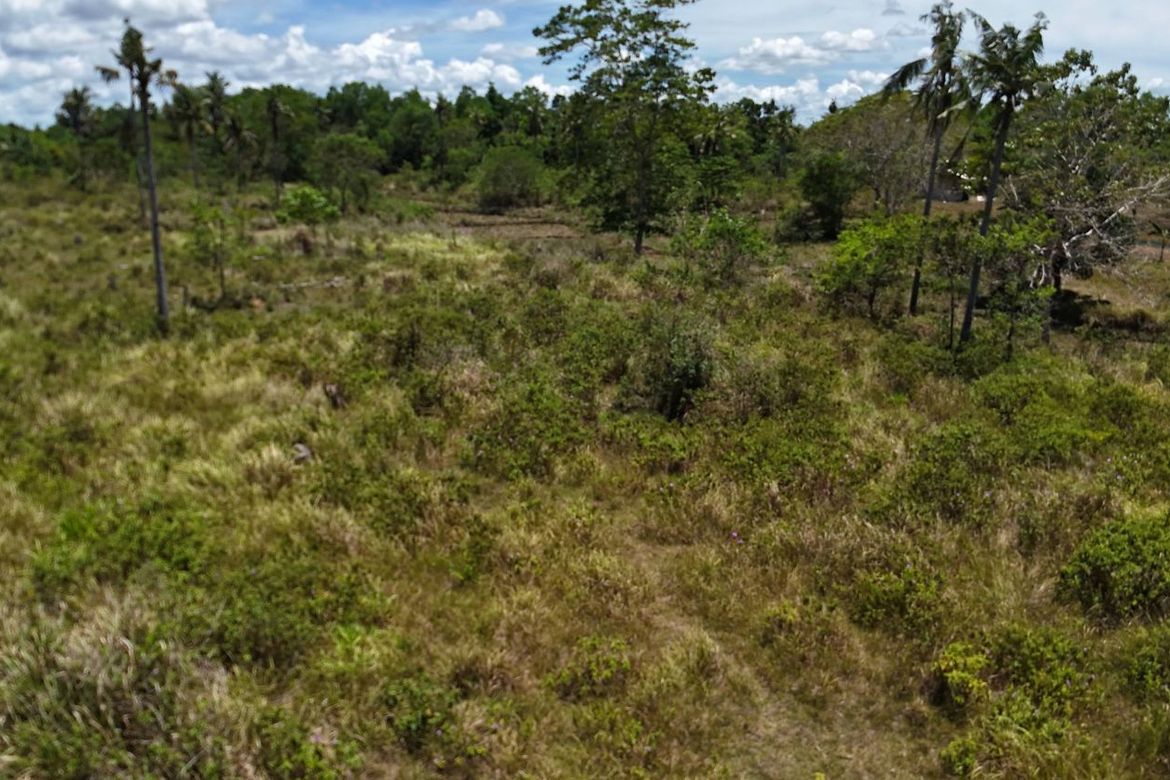 Land for Sale in Poblacion, Trinidad, Bohol – photo 4