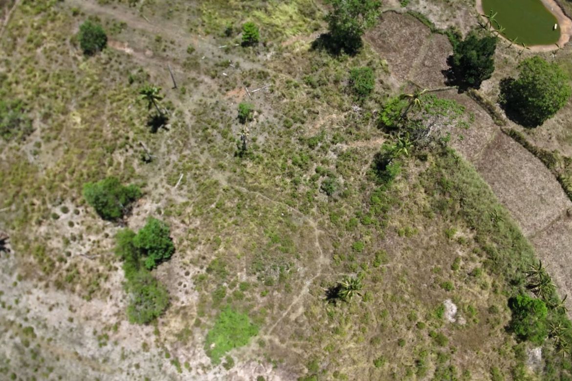 Land for Sale in Poblacion, Trinidad, Bohol – photo 5