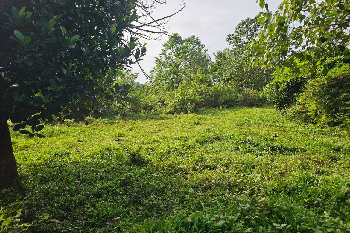 Land for Sale in Poblacion, Trinidad, Bohol – photo 2