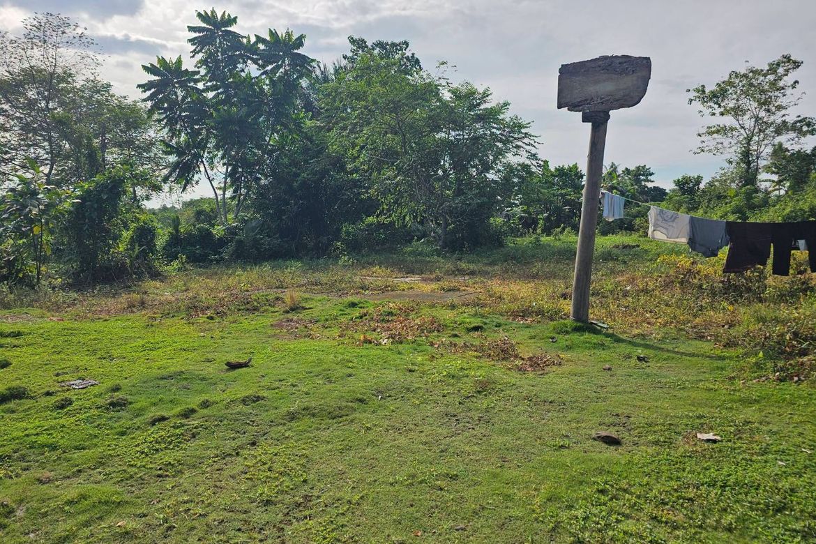 Land for Sale in Poblacion, Trinidad, Bohol – photo 6