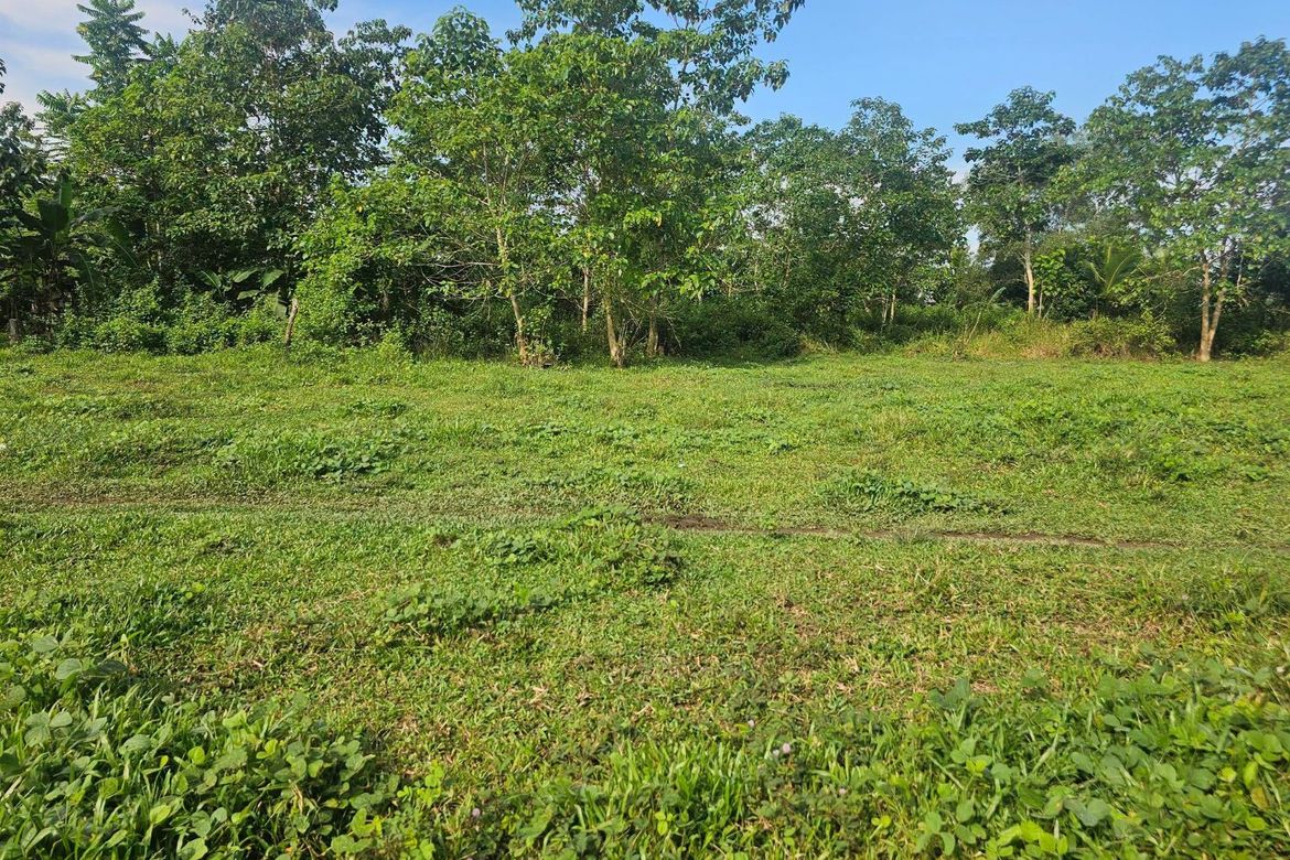 Land for Sale in Poblacion, Trinidad, Bohol – photo 7
