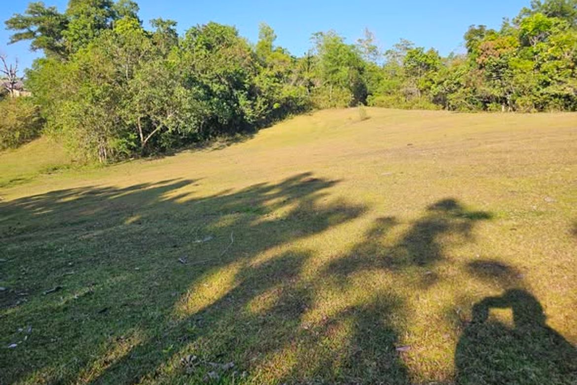 Land for Sale in Poblacion, Trinidad, Bohol – photo 2