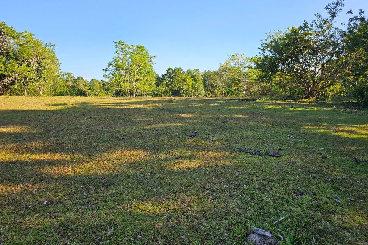 Land for Sale in Poblacion, Trinidad, Bohol – photo 4