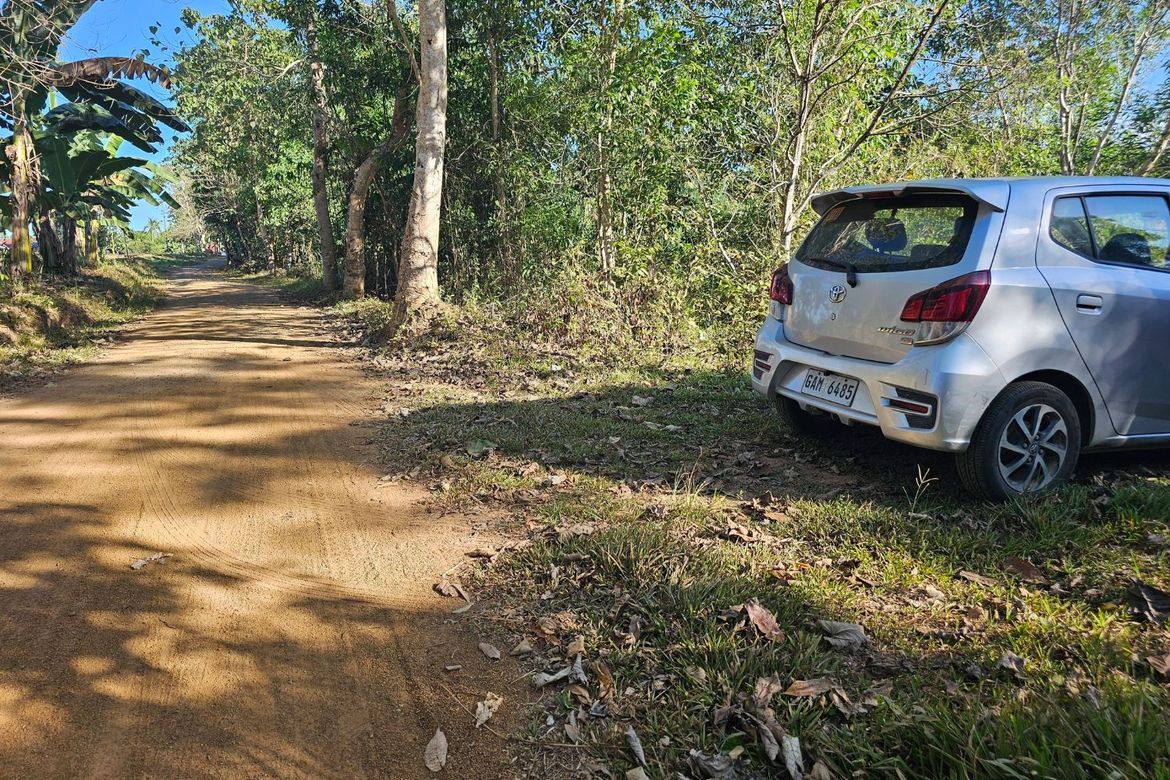 Land for Sale in Poblacion, Trinidad, Bohol – photo 5