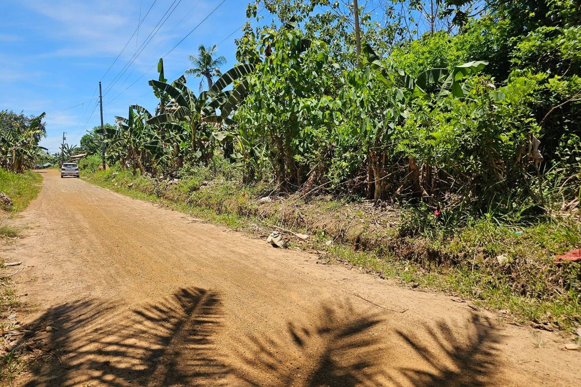 Land for Sale in Poblacion, Trinidad, Bohol