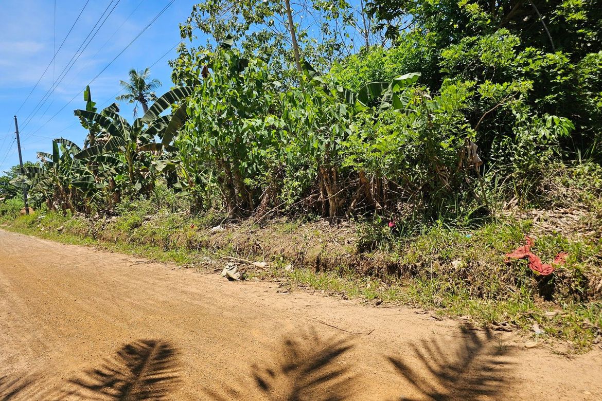 Land for Sale in Poblacion, Trinidad, Bohol – photo 4