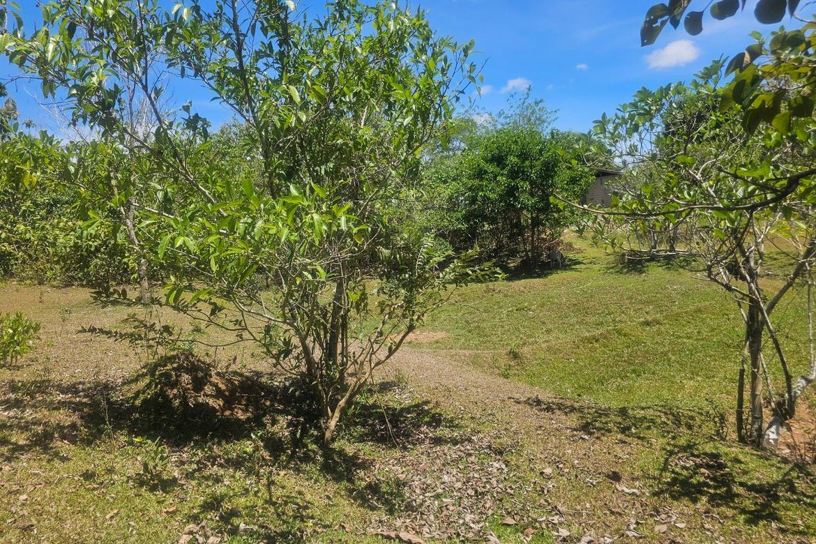 Land for Sale in Poblacion, Trinidad, Bohol – photo 5