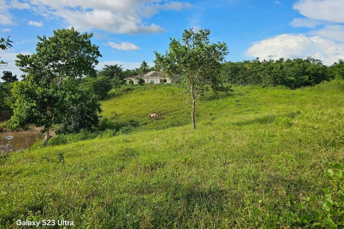 Land for Sale in Poblacion, Trinidad, Bohol – photo 2