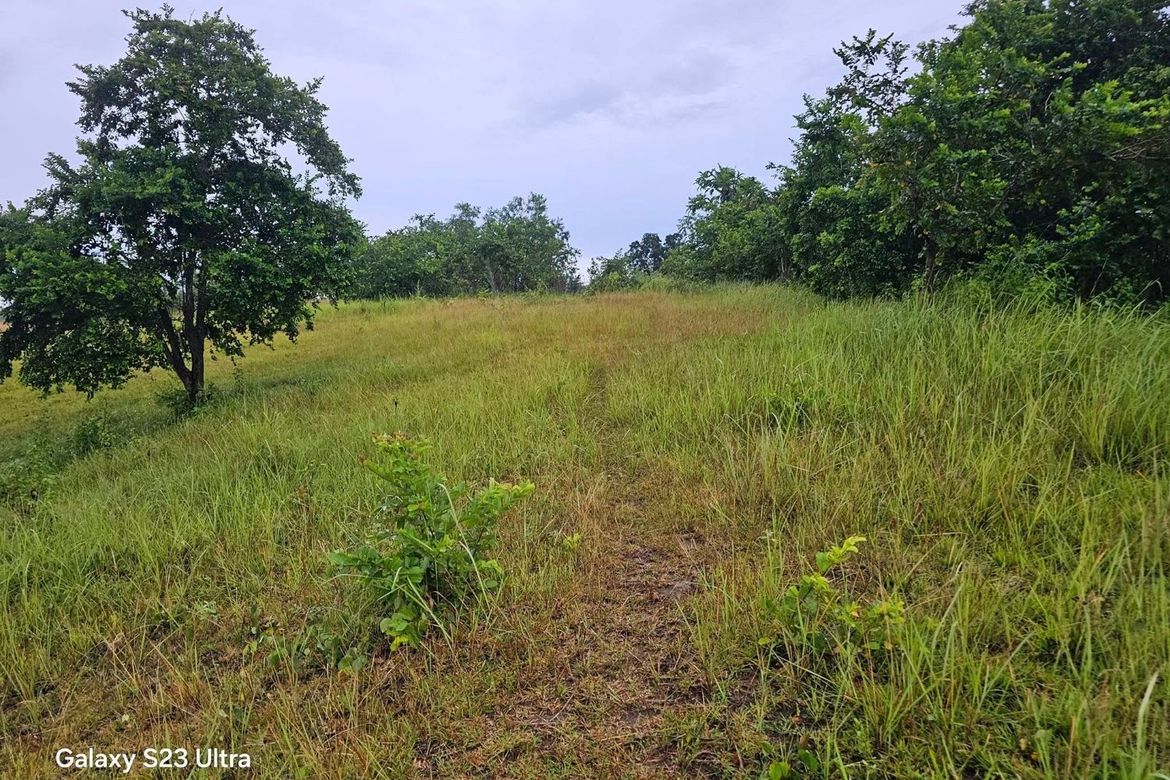 Land for Sale in Poblacion, Trinidad, Bohol – photo 5