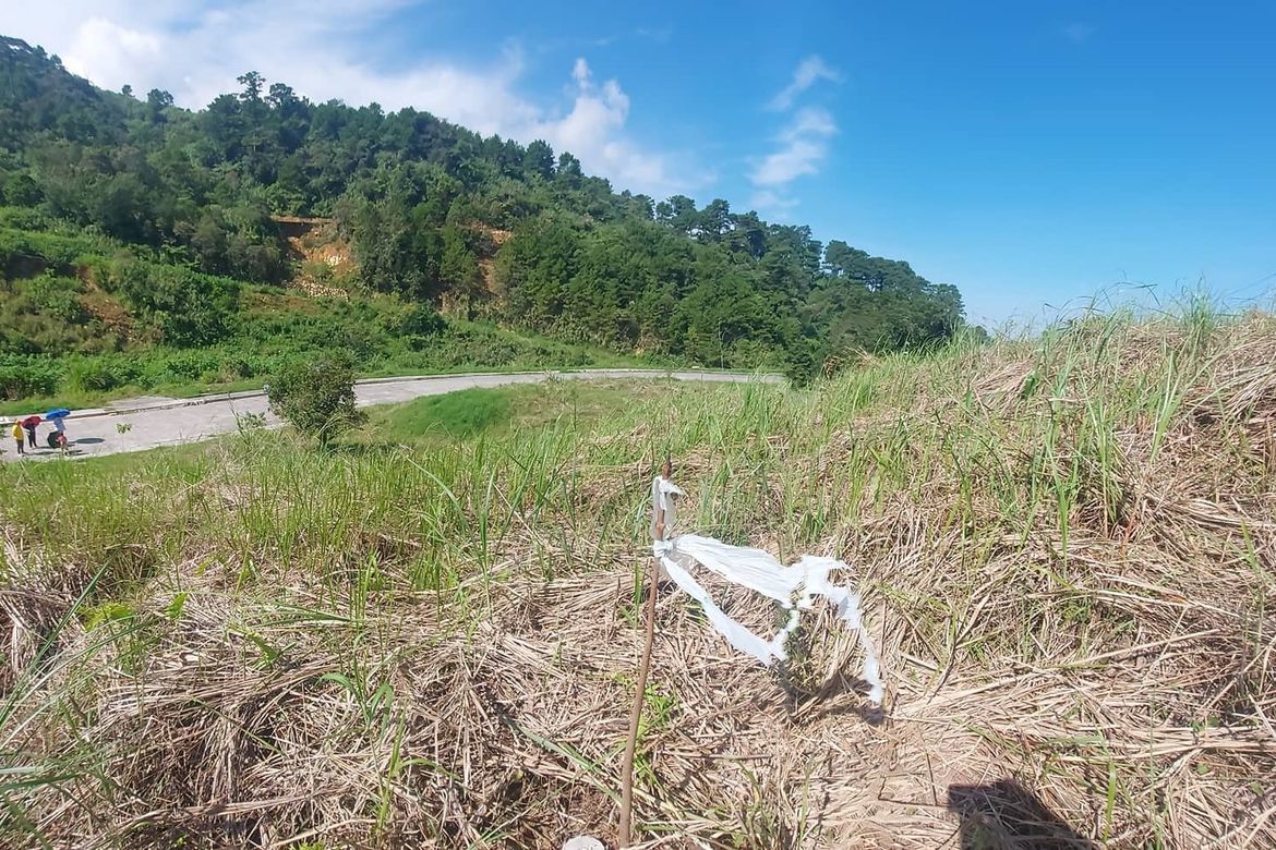 Land for Sale in Poblacion, Tuba, Benguet – photo 2
