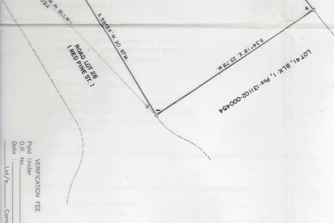 Land for Sale in Poblacion, Tuba, Benguet – photo 5