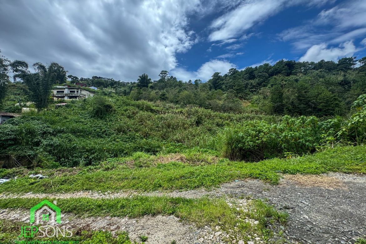 Land for Sale in Poblacion, Tuba, Benguet – photo 5