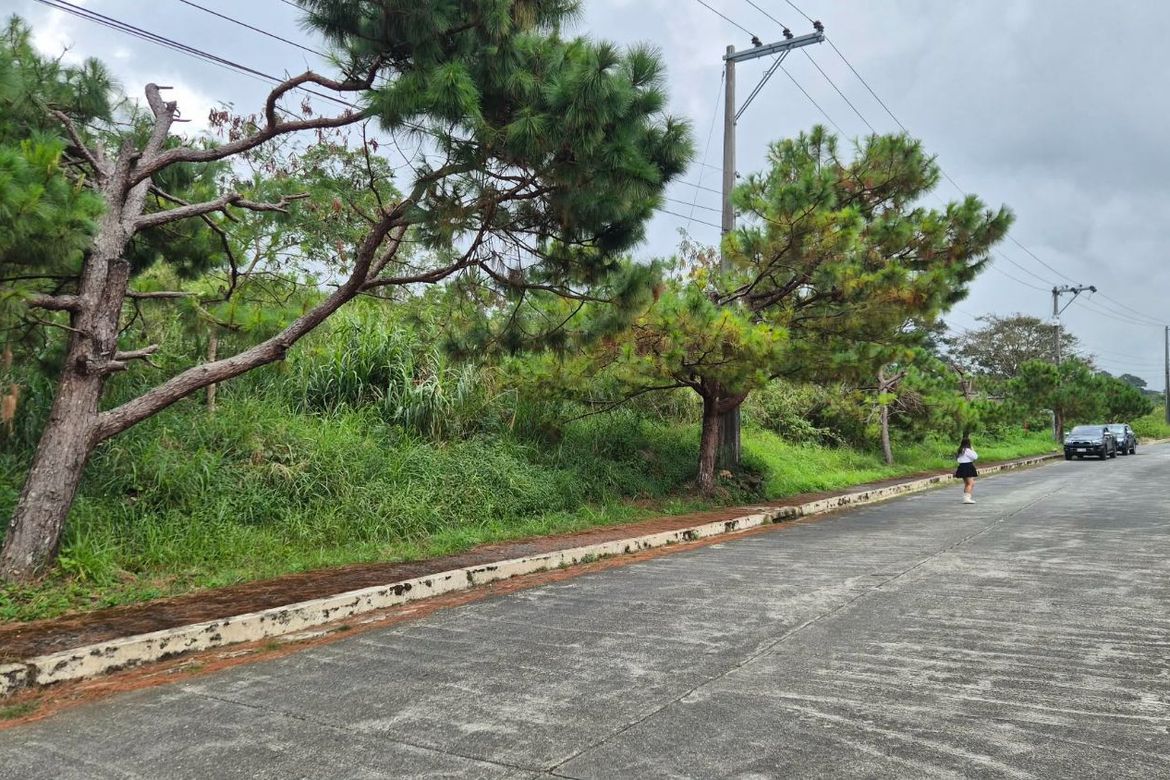 Land for Sale in Poblacion, Tuba, Benguet – photo 3