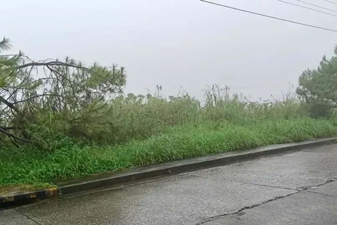 Land for Sale in Poblacion, Tuba, Benguet – photo 5