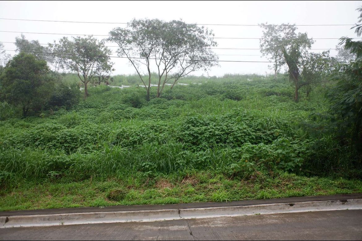 Land for Sale in Poblacion, Tuba, Benguet