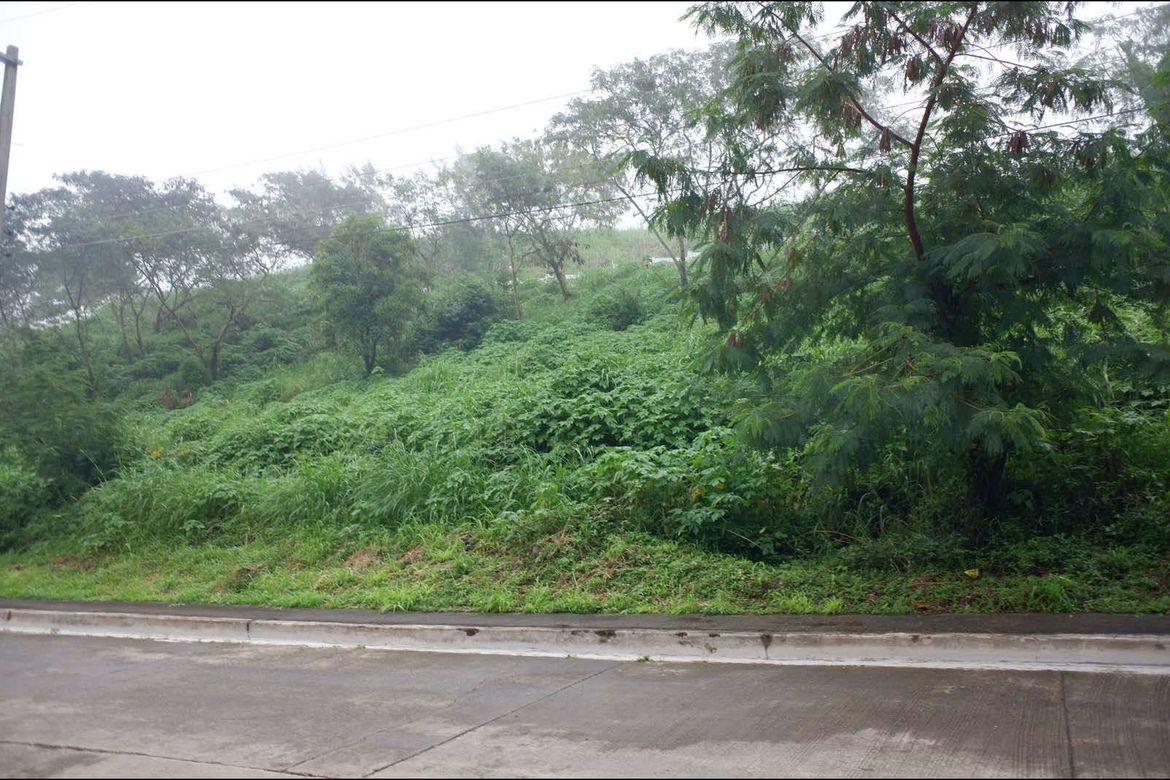 Land for Sale in Poblacion, Tuba, Benguet – photo 2