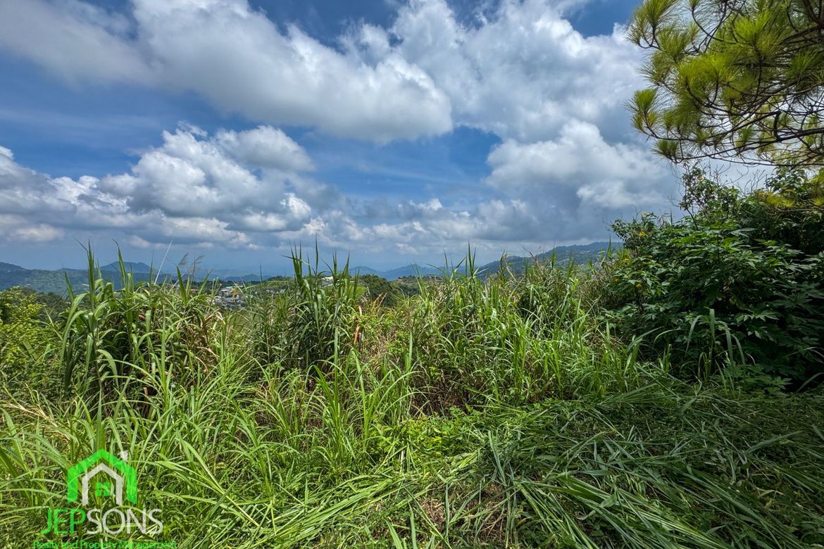 Land for Sale in Poblacion, Tuba, Benguet