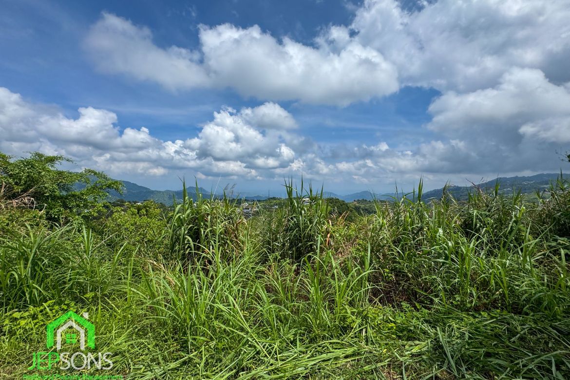 Land for Sale in Poblacion, Tuba, Benguet – photo 2
