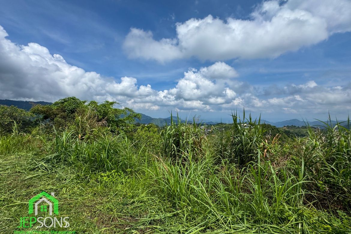 Land for Sale in Poblacion, Tuba, Benguet – photo 3