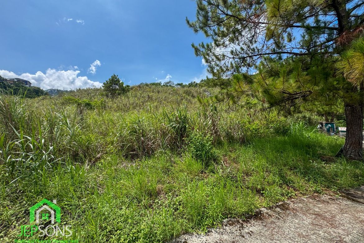 Land for Sale in Poblacion, Tuba, Benguet – photo 7