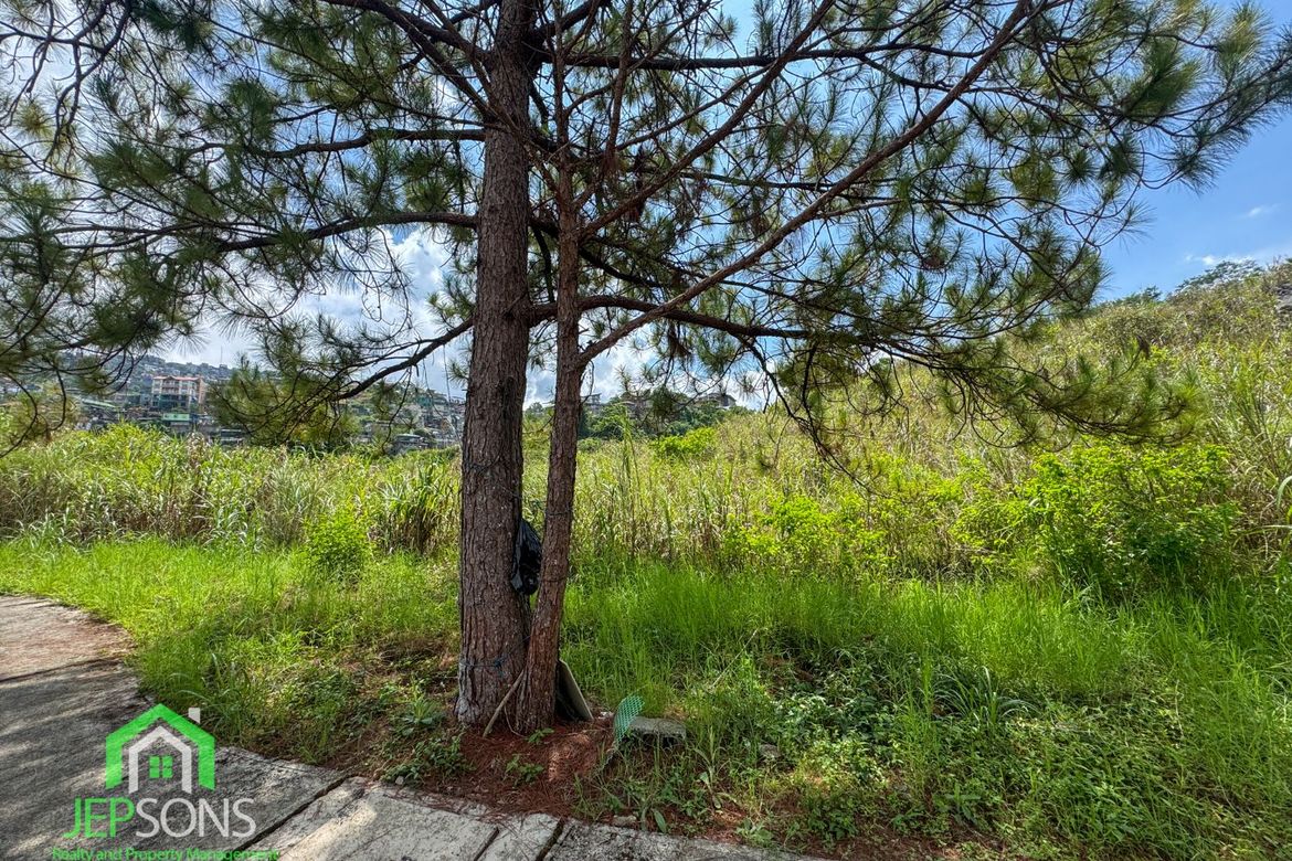 Land for Sale in Poblacion, Tuba, Benguet – photo 8