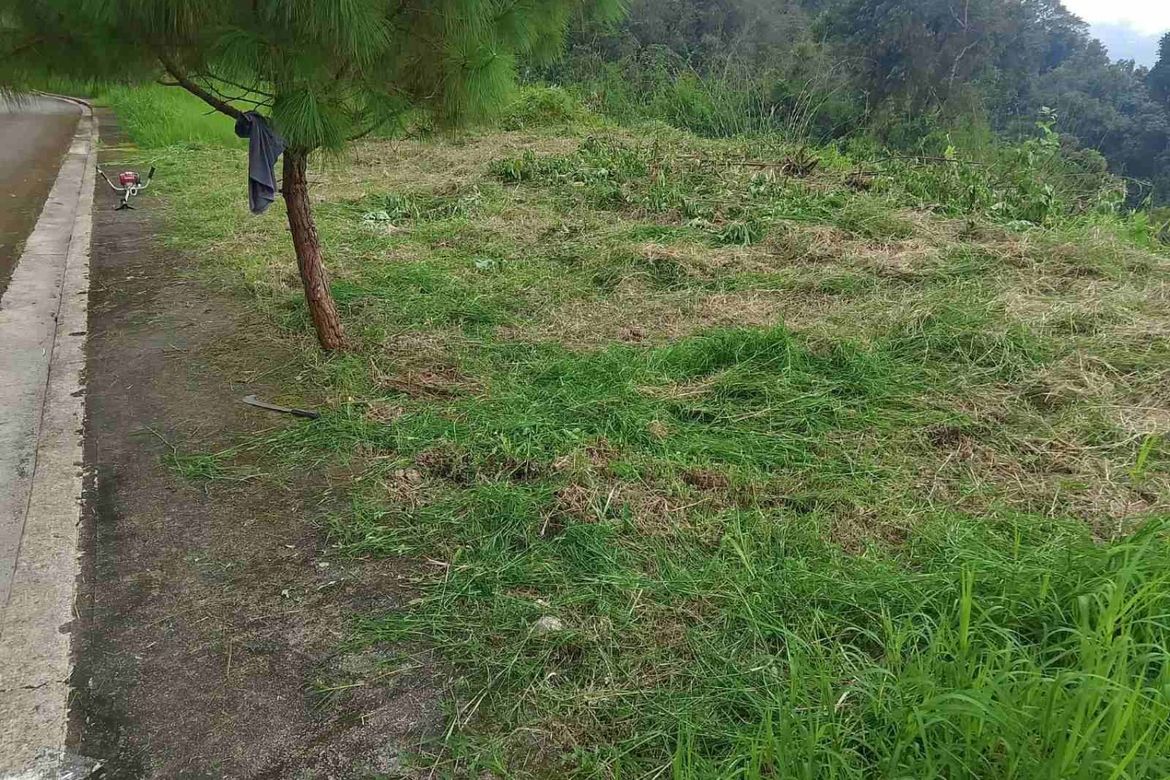 Land for Sale in Poblacion, Tuba, Benguet – photo 3