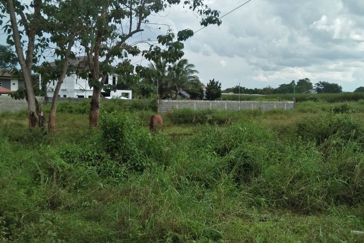 Land for Sale in Poblacion, Valencia, Bukidnon – photo 3