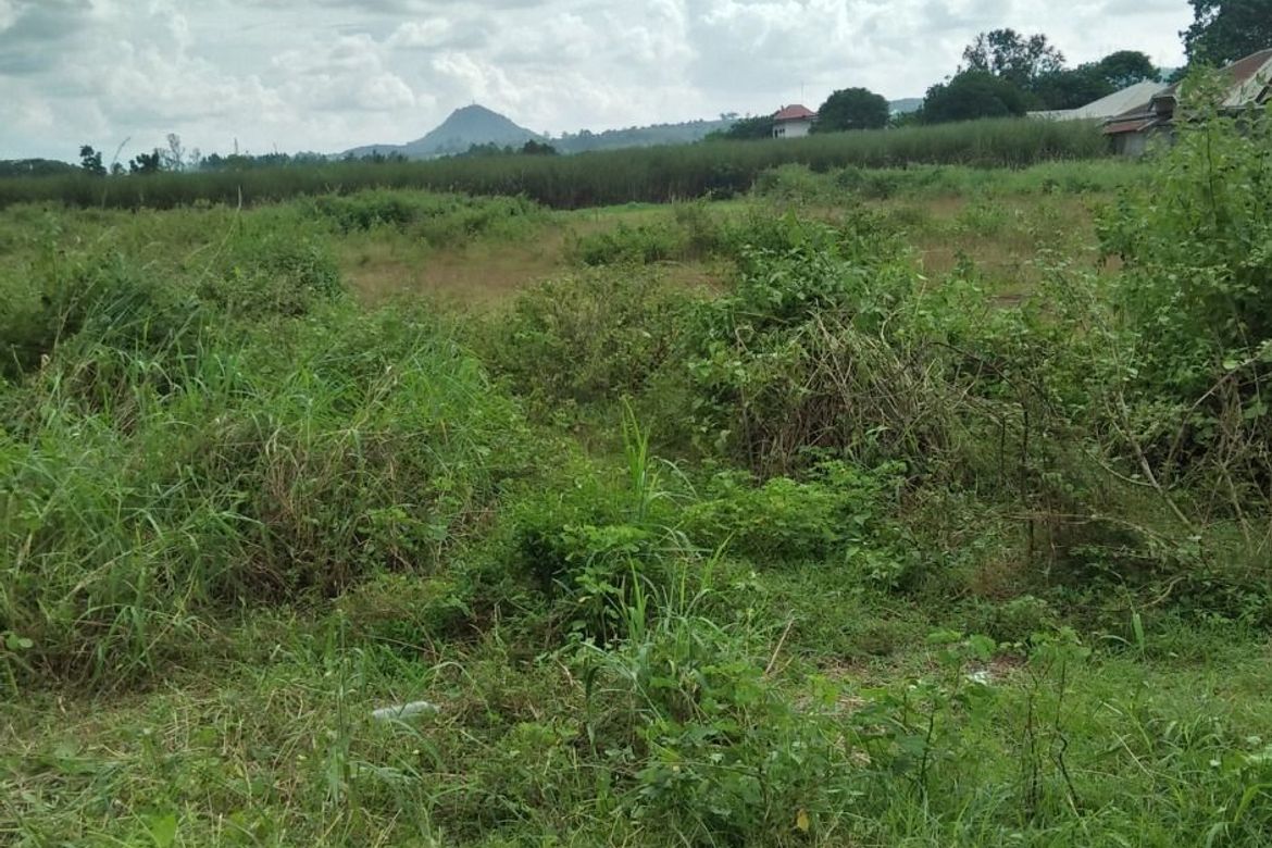 Land for Sale in Poblacion, Valencia, Bukidnon – photo 7