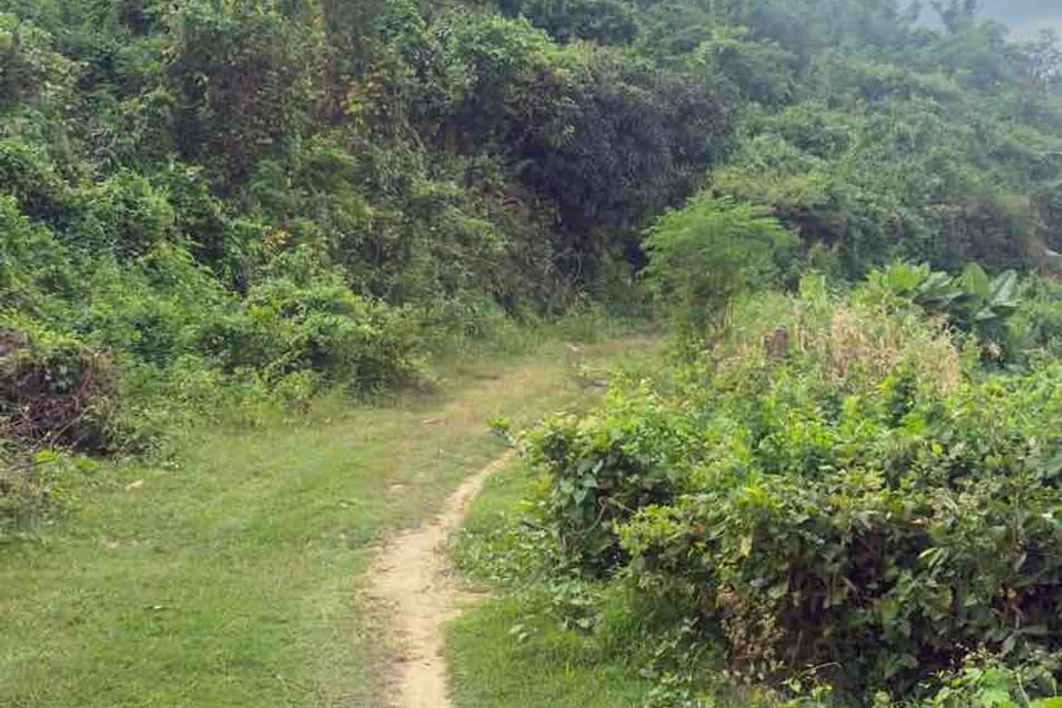 Land for Sale in Poblacion Ward III, Minglanilla, Cebu – photo 4