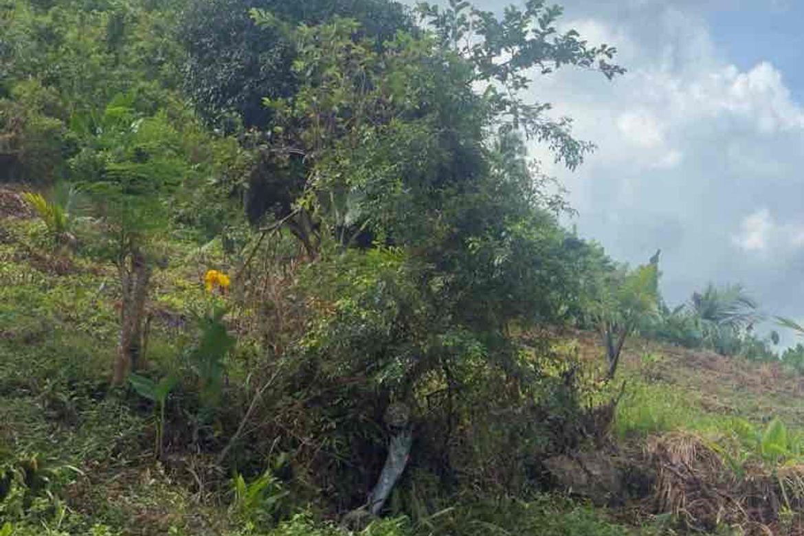 Land for Sale in Poblacion Ward III, Minglanilla, Cebu – photo 6