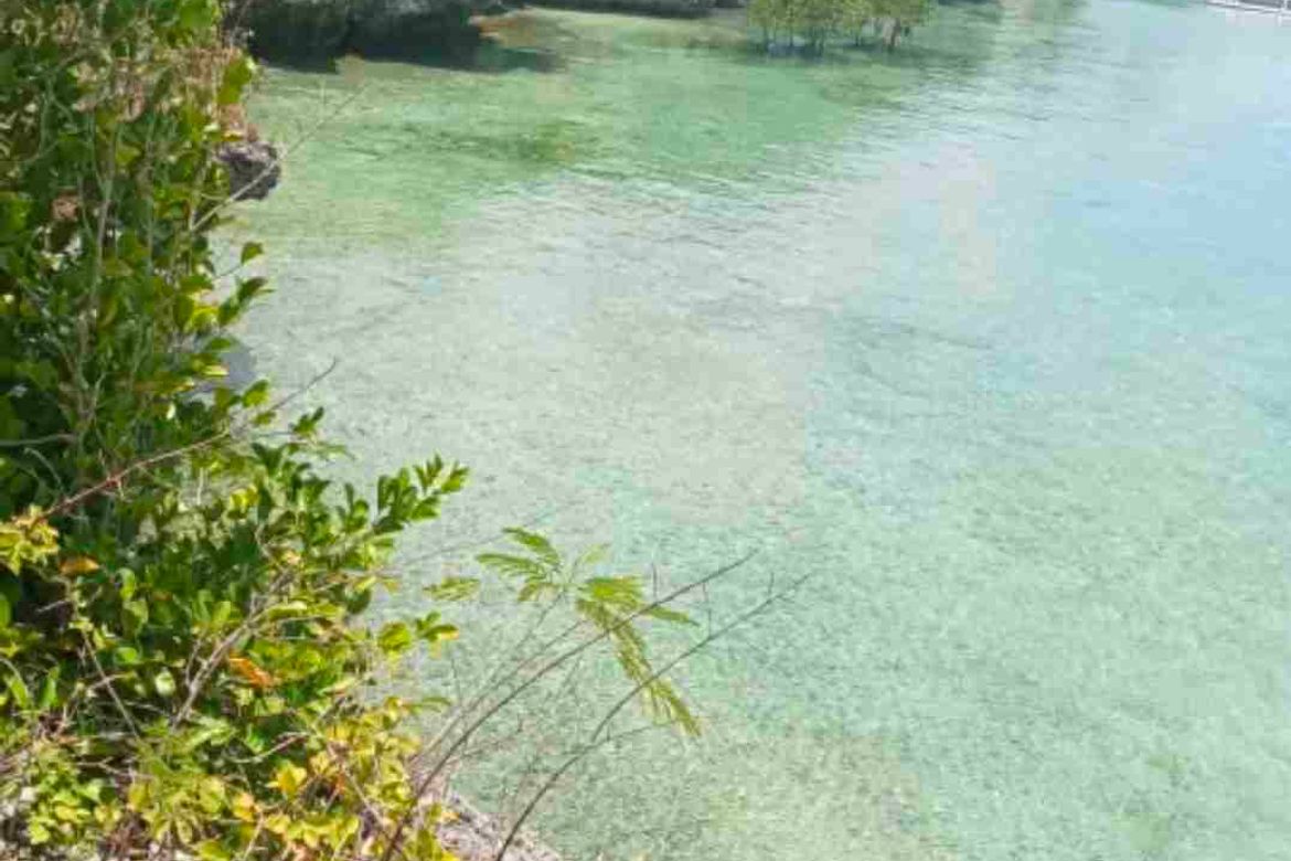 Land for Sale in Poblacion West, Moalboal, Cebu