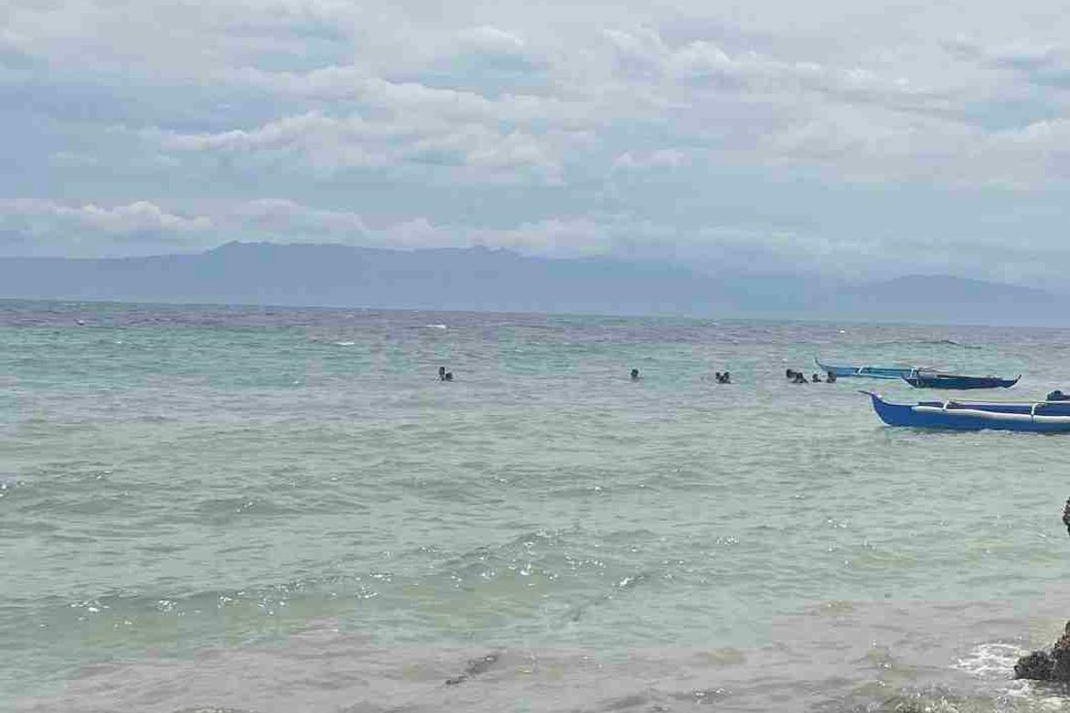 Land for Sale in Poblacion West, Moalboal, Cebu