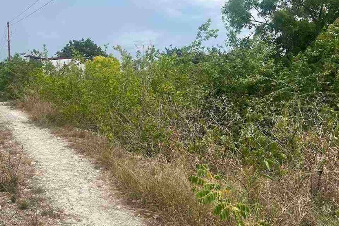 Land for Sale in Poblacion West, Moalboal, Cebu – photo 2