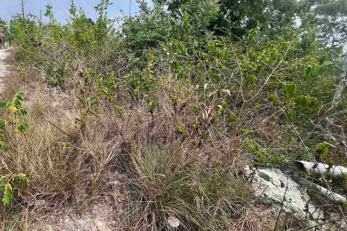 Land for Sale in Poblacion West, Moalboal, Cebu – photo 3