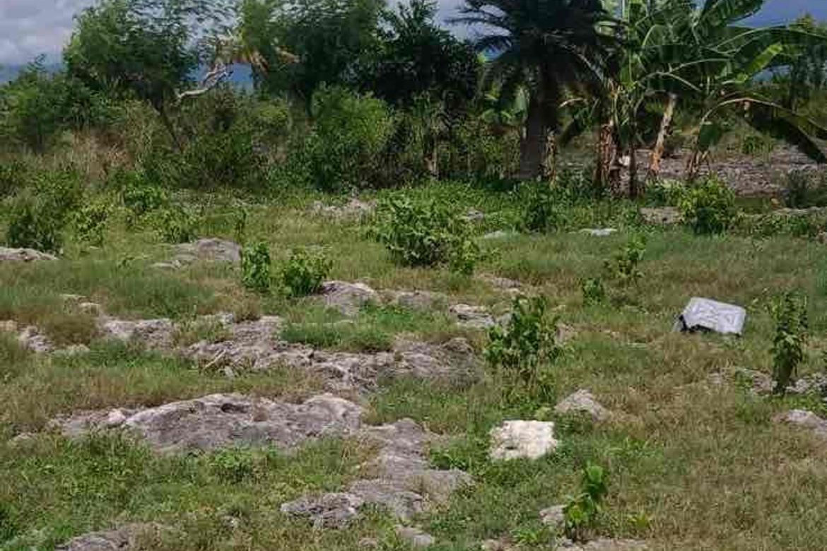 Land for Sale in Poblacion West, Moalboal, Cebu – photo 7