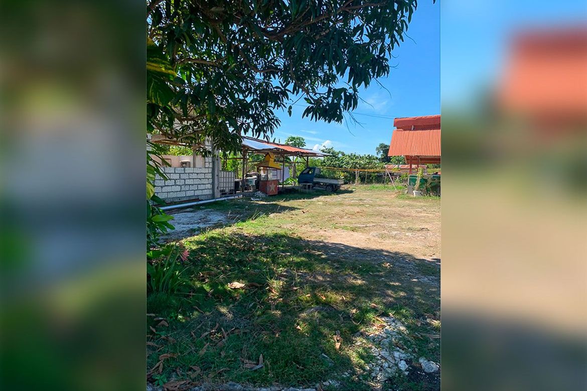 Land for Sale in Poblacion West, Moalboal, Cebu – photo 4