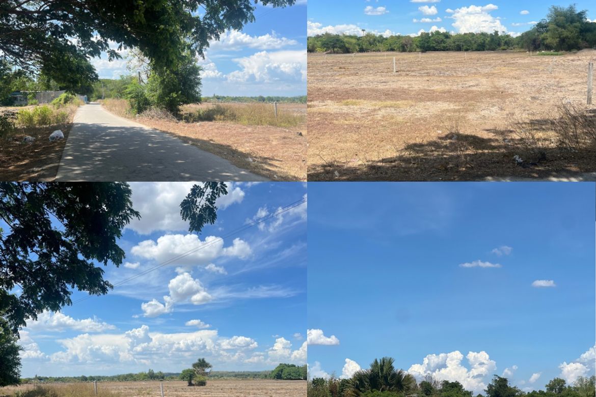 Land for Sale in Poblacion West, Santa Ignacia, Tarlac