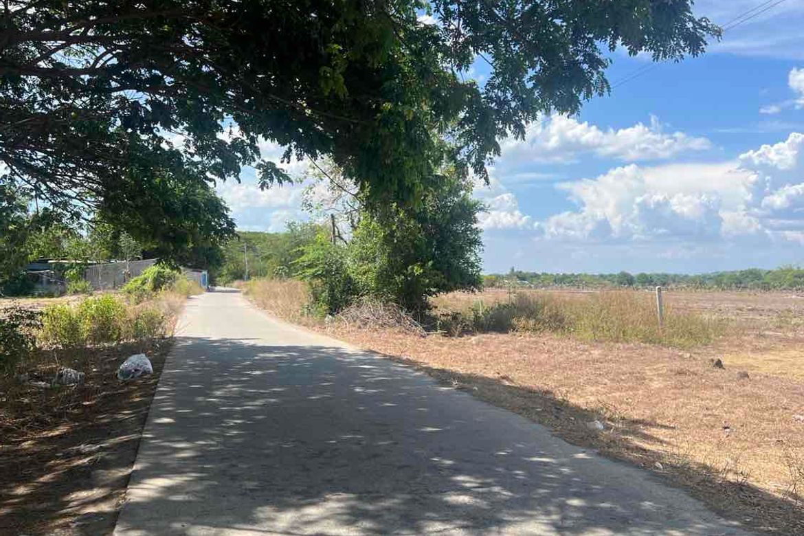 Land for Sale in Poblacion West, Santa Ignacia, Tarlac – photo 3
