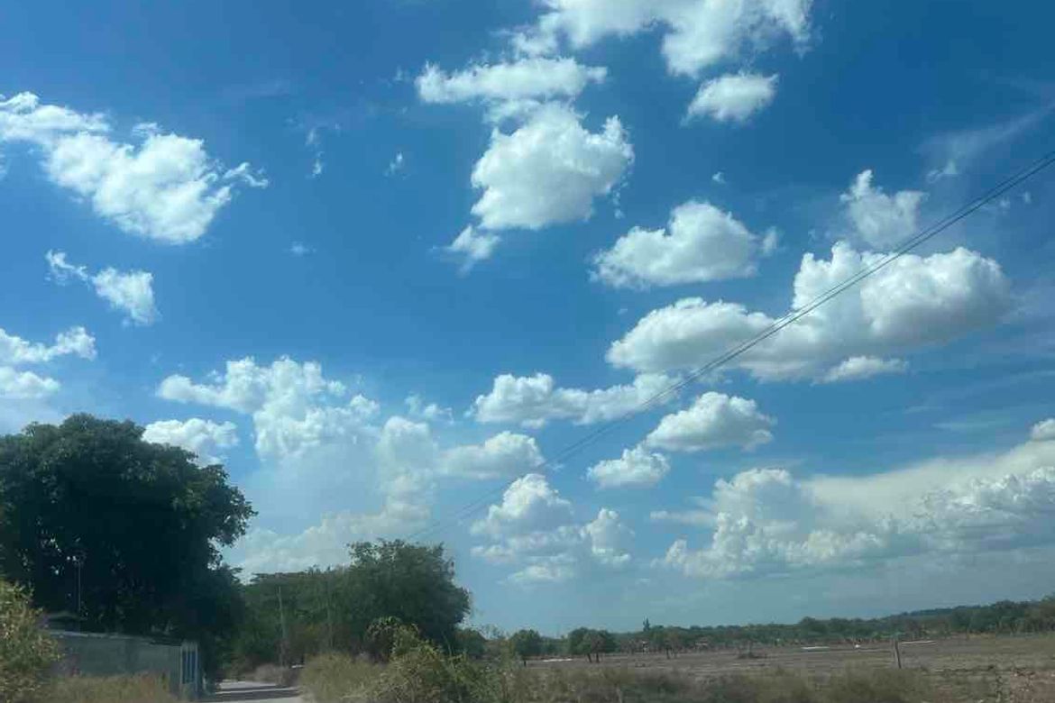 Land for Sale in Poblacion West, Santa Ignacia, Tarlac – photo 4