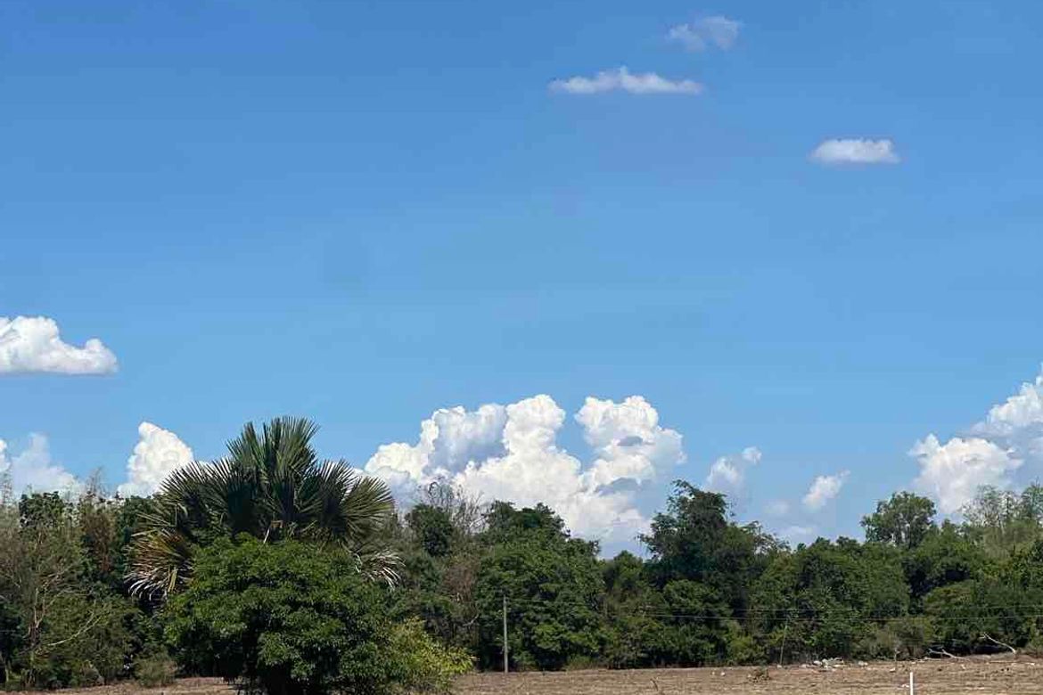 Land for Sale in Poblacion West, Santa Ignacia, Tarlac – photo 5
