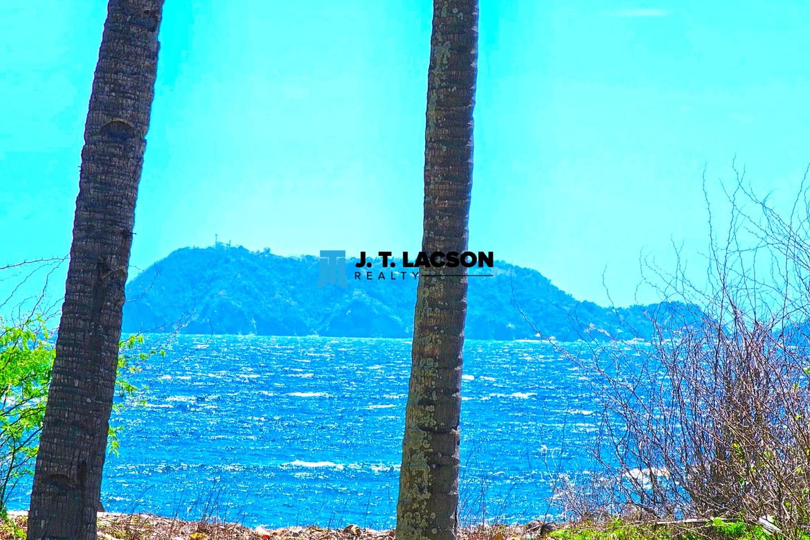 Land for Sale in Poblacion, Zamboanguita, Negros Oriental – photo 2