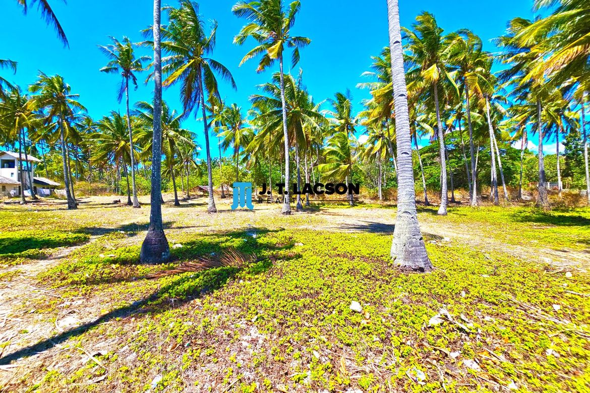 Land for Sale in Poblacion, Zamboanguita, Negros Oriental – photo 3