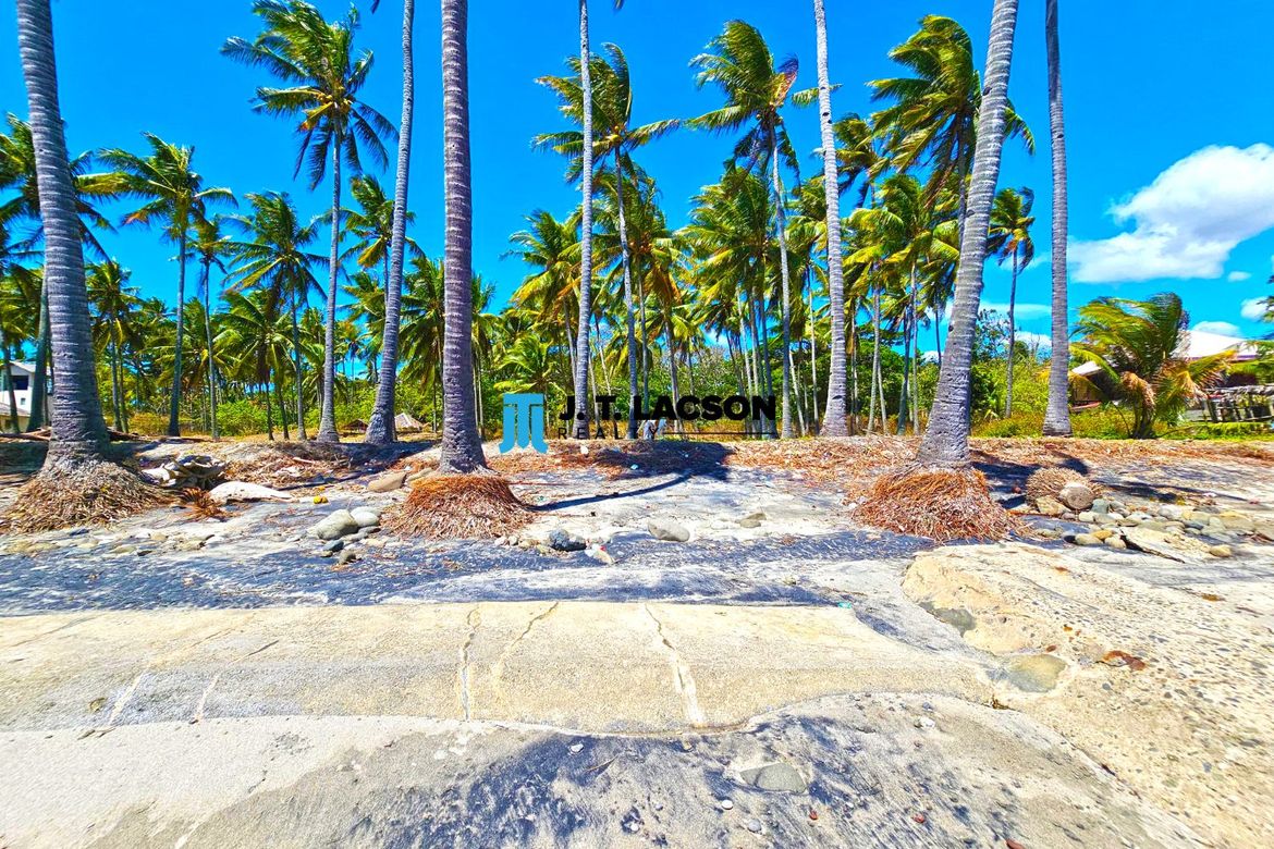 Land for Sale in Poblacion, Zamboanguita, Negros Oriental – photo 5