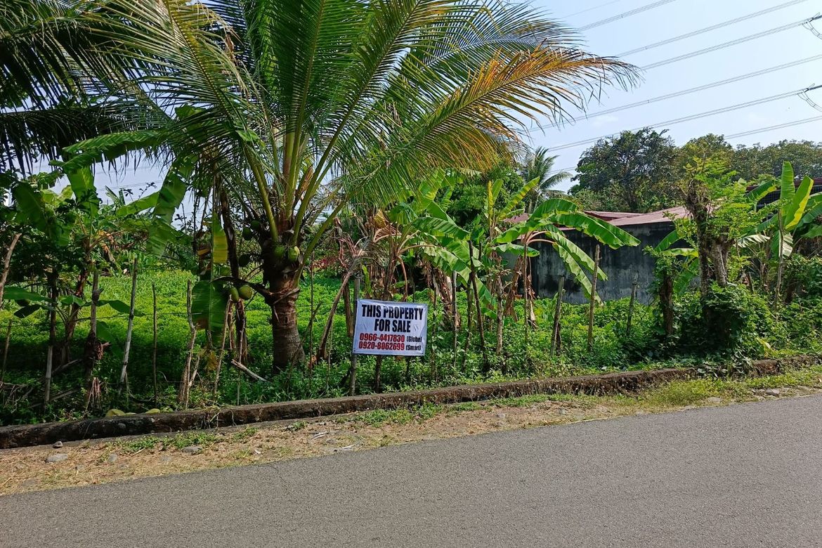 Land for Sale in Pogomboa, Aguilar, Pangasinan